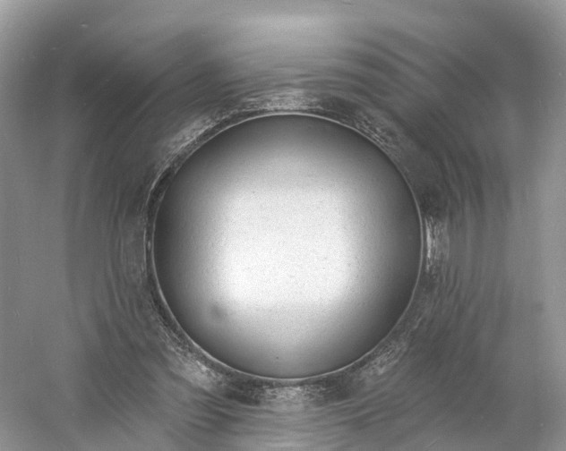 X0000060810301200512011807