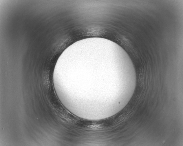 X0000060810312200512011807