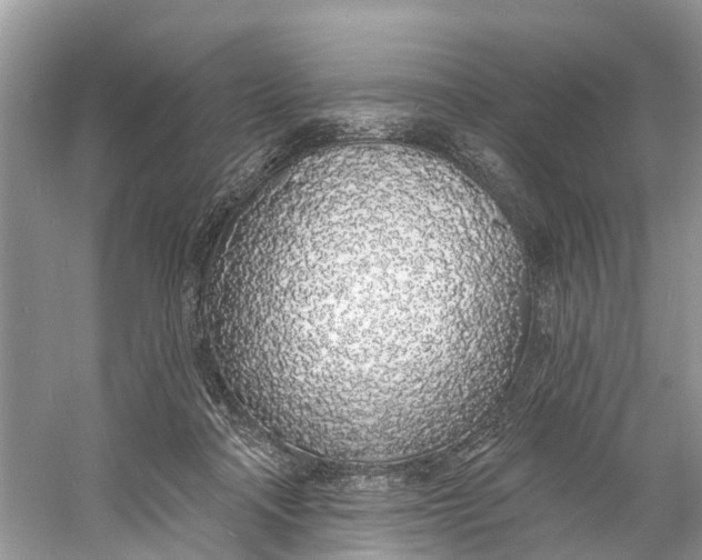 X0000060810314200512011807