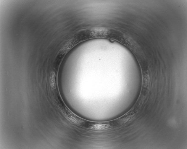 X0000060810323200512011807
