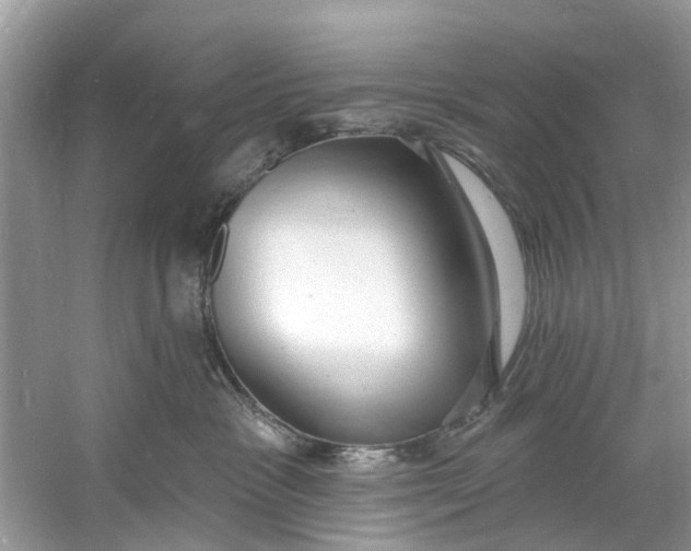 X0000060810333200512011806