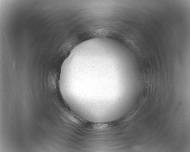 X0000060810334200512011806
