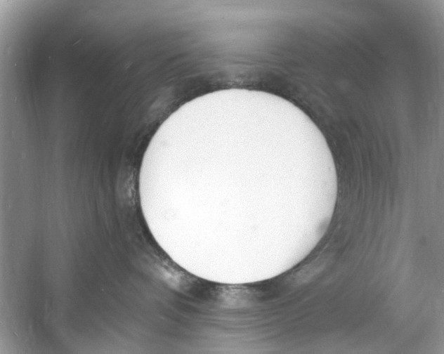 X0000060810336200512011806