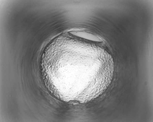 X0000060810337200512011805