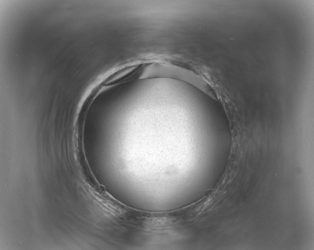 X0000060810342200512011806