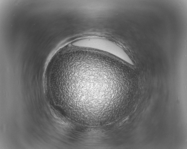 X0000060810343200512011806