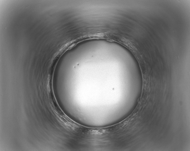 X0000060810346200512011806