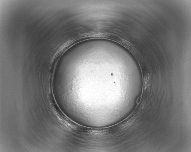 X0000060810349200512011806