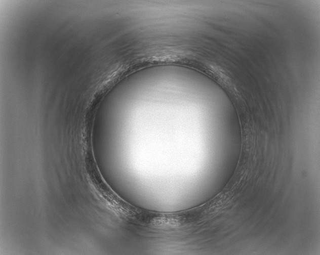 X0000060810354200512011806