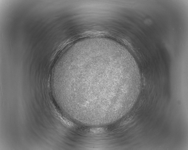 X0000060810357200512011806