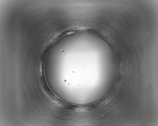 X0000060810358200512011806