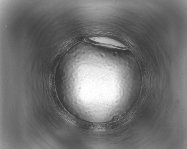 X0000060810361200512011806