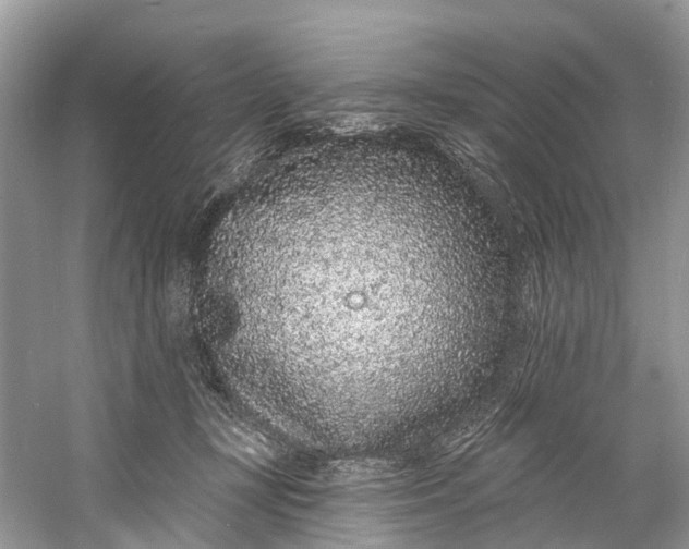 X0000060810367200512011806
