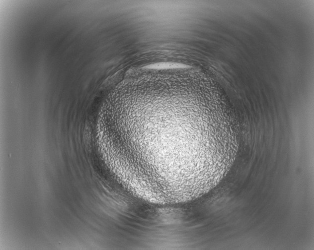 X0000060810371200512011806
