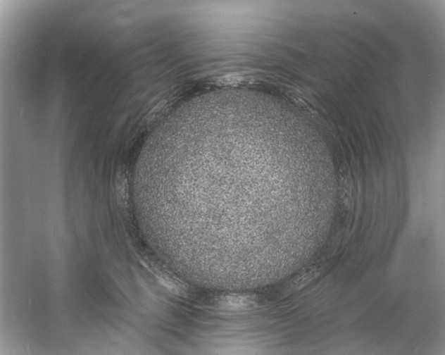 X0000060810375200512011806