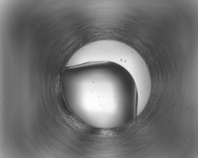 X0000060810376200512011806