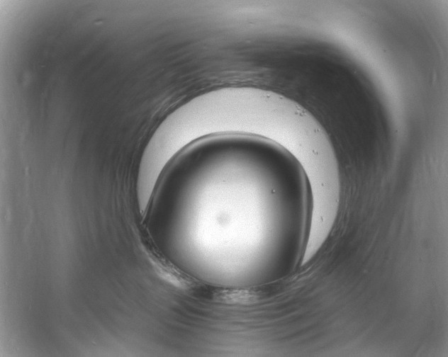 X0000060810383200512011806