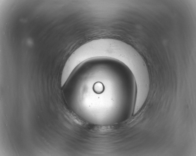 X0000060810384200512011806