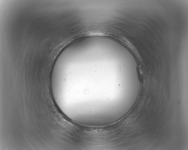 X0000060810385200512011805