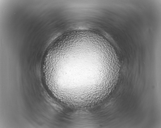 X0000060810386200512011805