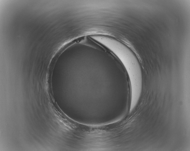 X0000060810387200512011805