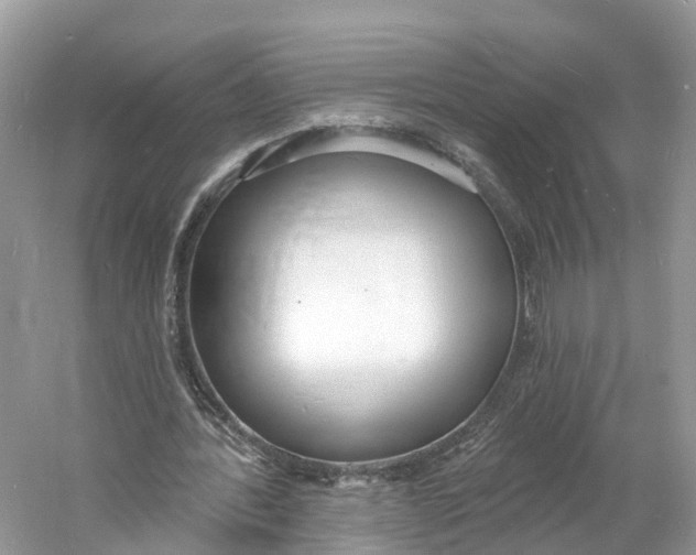 X0000060810388200512011805