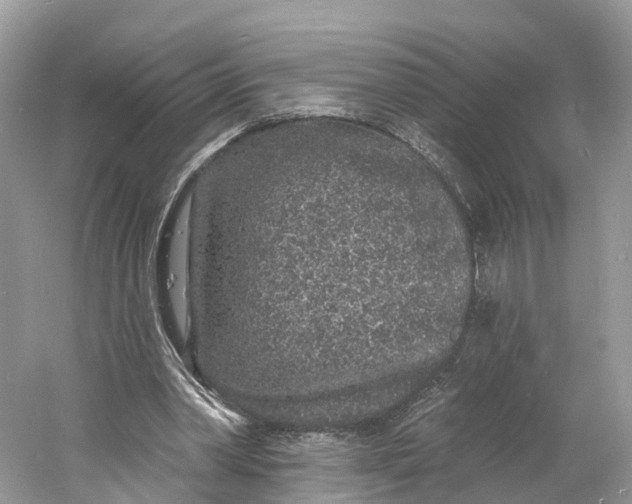X0000060810390200512011805