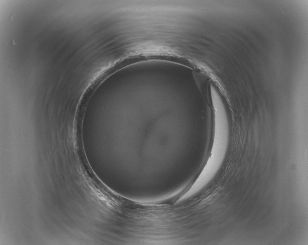 X0000060810391200512011805