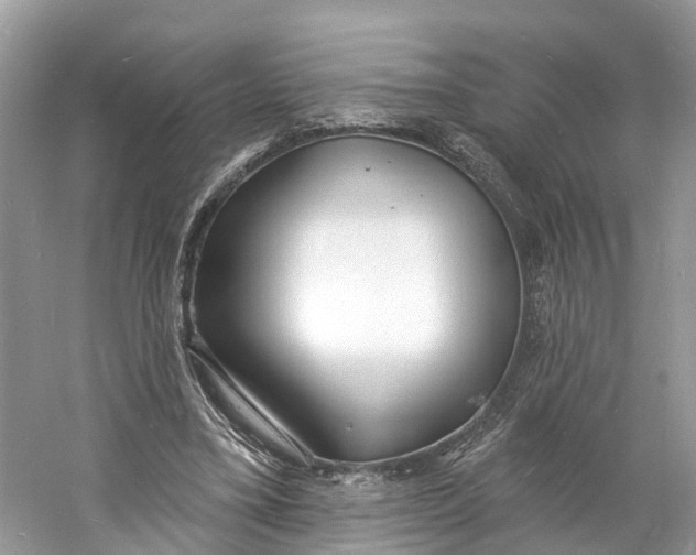X0000060810395200512011805