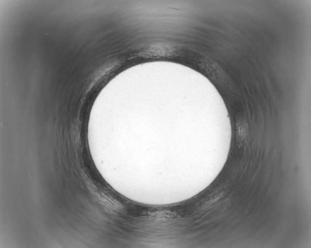 X0000060810396200512011805