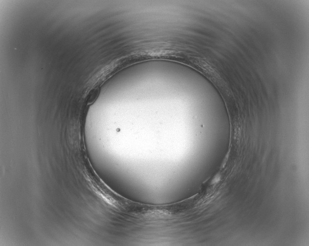 X0000060810397200512011805