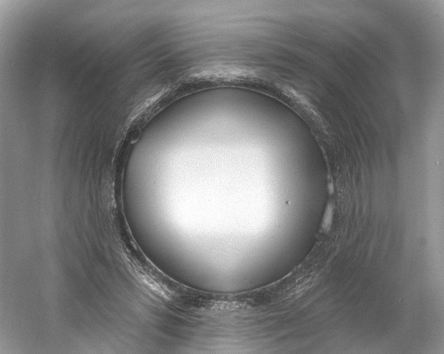 X0000060810399200512011805