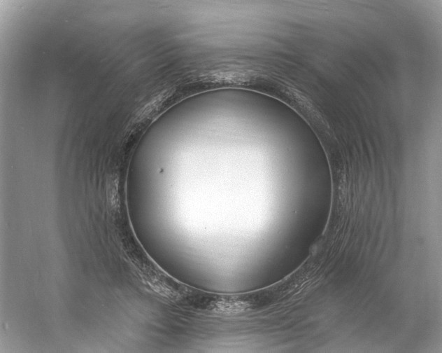 X0000060810403200512011805