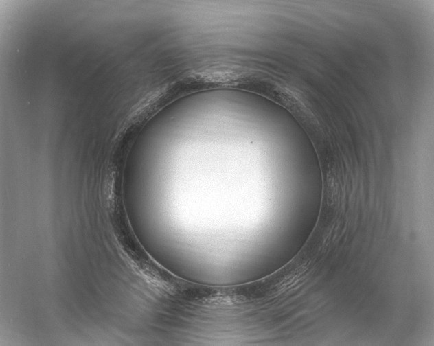 X0000060810404200512011805