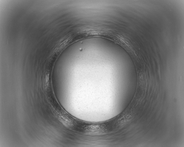 X0000060810406200512011805