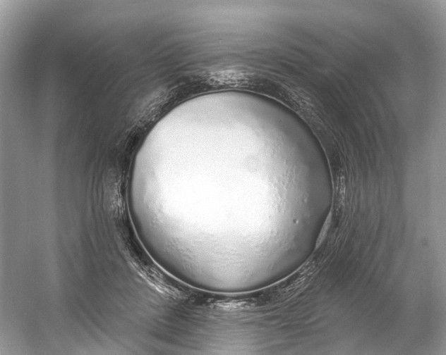 X0000060810408200512011805