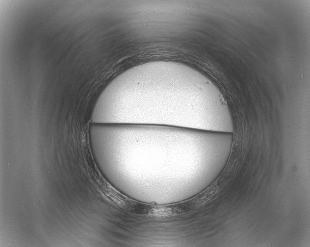 X0000060810413200512011805