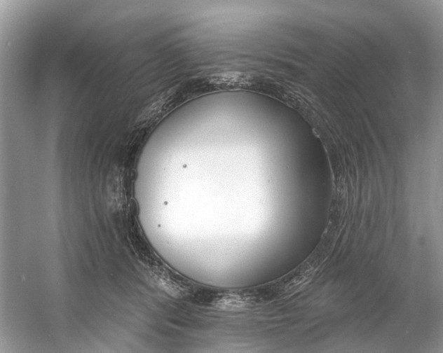 X0000060810416200512011805