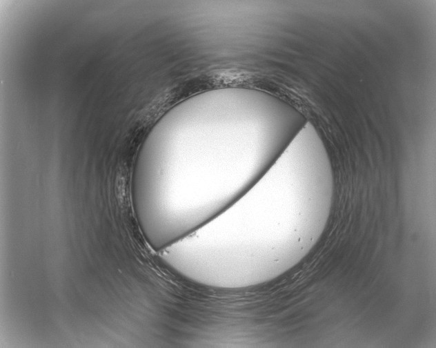 X0000060810417200512011805