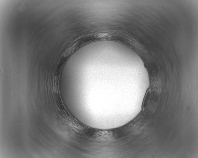 X0000060810421200512011805