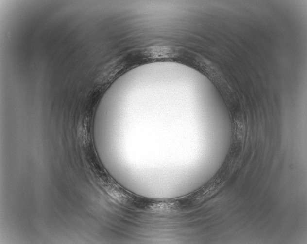 X0000060810422200512011805