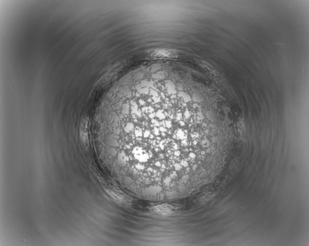 X0000060810423200512011805