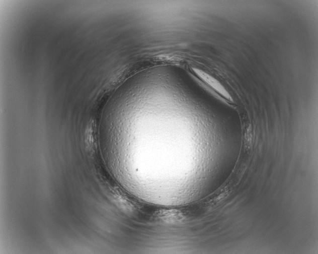 X0000060810424200512011805