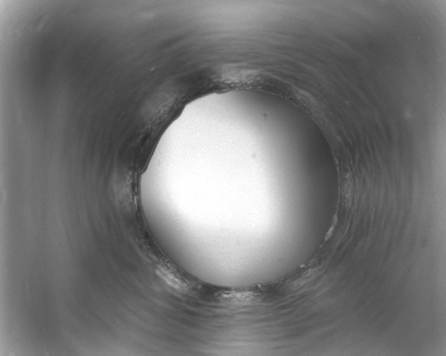 X0000060810428200512011805