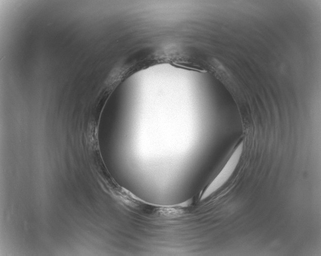 X0000060810429200512011805