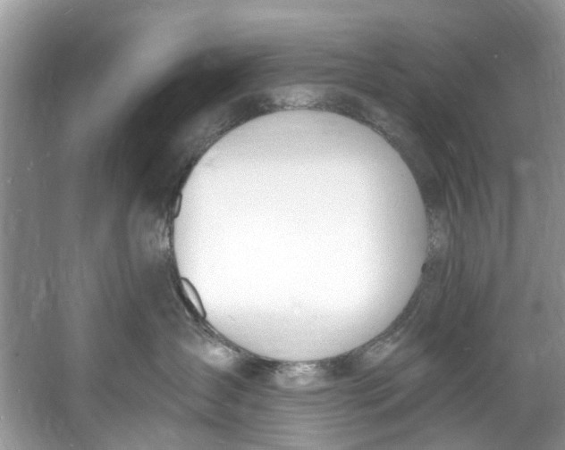 X0000060810431200512011805