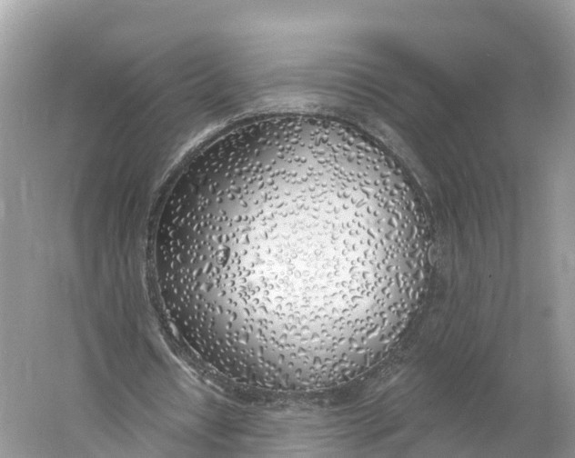 X0000060810434200512011804