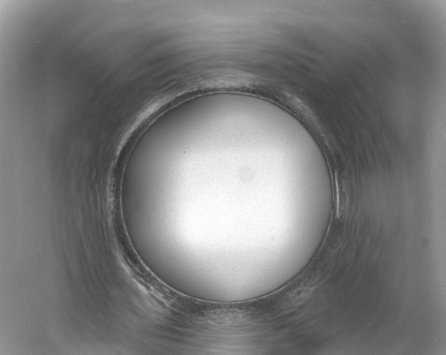 X0000060810435200512011804