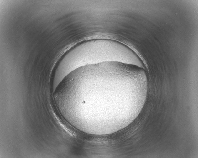 X0000060810437200512011804