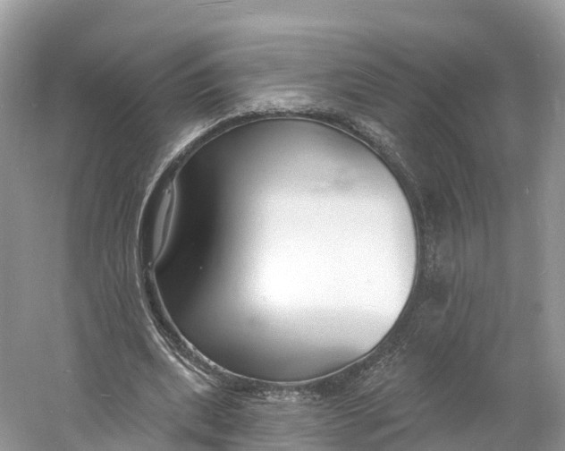 X0000060810439200512011804